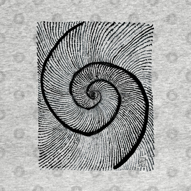 Double shell Fibonacci spiral golden ratio by Pragonette